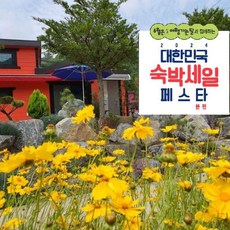 [단양군] [최대 3만원 추가할인]단양 여우별펜션