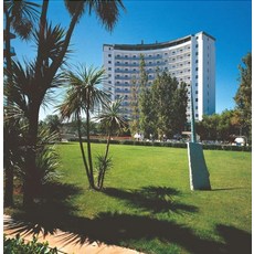 silvi1000
