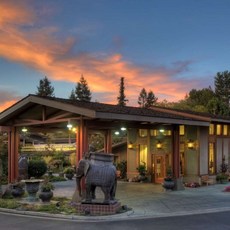 디어쿠스틱알토