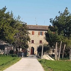  [Assisi] 카메레 로시뇰리 