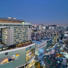 [서울특별시] 홀리데이 인 익스프레스 서울 홍대, IHG 호텔