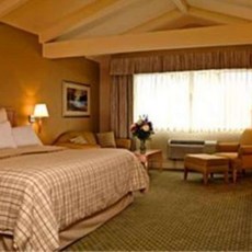 포포인츠명동런치