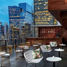 [뉴욕 (NY)] DoubleTree by Hilton Hotel New York Times Square West
