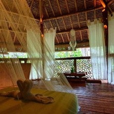 [보홀] Water to Forest Ecolodge