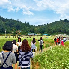 무용인한마음축제in성남