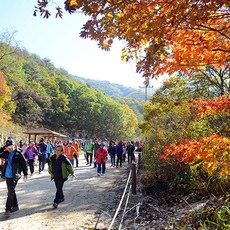 국내당일치기여행