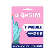 [미국] 미국eSIM 미국번호로 개통 티모바일 미국유심 - 아이폰전용