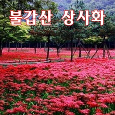 당일국내여행사