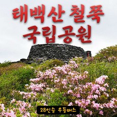 [강원 태백] 태백산 장군봉 국립공원 28인승 리무진버스