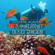 제주스킨스쿠버자격증