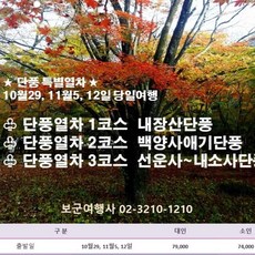 내장산기차여행