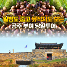 삼척추추파크