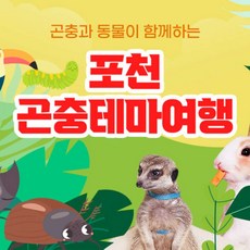 [포천] 포천 곤충테마여행 이용권 (~24년 3월)