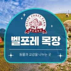 [충북] 벨포레 리조트 목장 이용권 (당일사용불가)