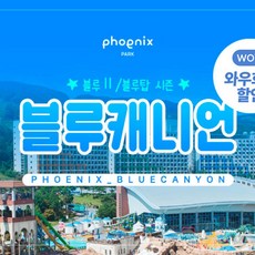 [강원도] [WOW특가] 휘닉스파크 블루캐니언 블루2/탑 시즌 종일권 (워터파크,강원도)