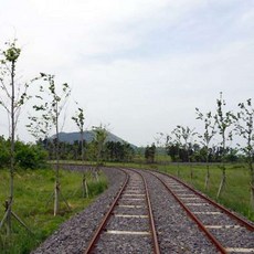 뜨거운청춘레일바이크