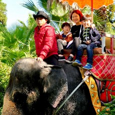 제주시로스팅수업