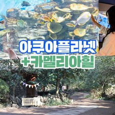 [제주] 아쿠아플라넷 제주+카멜리아힐