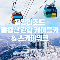 [평창] 용평리조트 발왕산 관광 케이블카&氣스카이워크