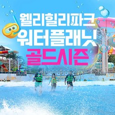 [강원] 웰리힐리파크 워터플래닛 골드시즌 종일권(~8.25)