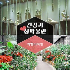 제주도택시대절