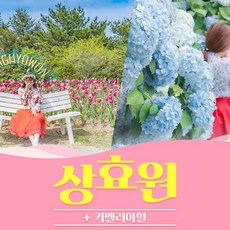 [서귀동부,서귀서부] |제주|상효원+카멜리아힐