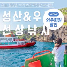 제주도우도