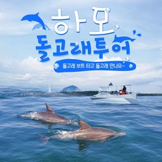 [서귀서부] |제주|하모 돌고래투어 이용권|돌고래보트