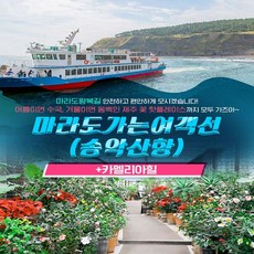 제주도고무신