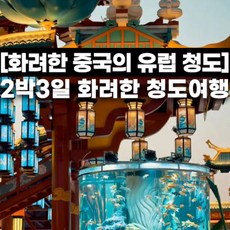 [청도] 홈쇼핑 방영 상품 청도 화려한 불야성 힐튼호텔 소어산 시장 4대특식 2박3일 패키지