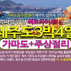 제주동남부승마레슨