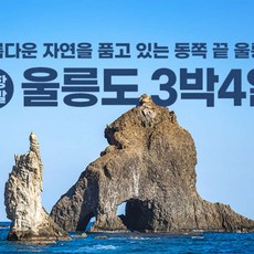 [울릉도, 독도] [포항출발]초대형 크루즈로 안전하고 알찬일정!  아름다운 신비의섬 울릉도 3박4일!의 사본