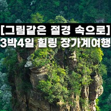 [장가계] 장가계 영화 아바타 원가계 천문산 칠성산 산위숙박 VIP우선탑승권 3박4일 패키지