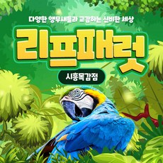 전시회 TOP01