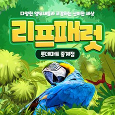 [서울] [중계점] 리프패럿 이용권(구매 후 60일이내 사용)