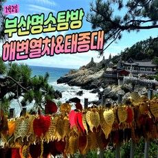 [★ BEST 상품★] [수원출발] - 부산 구석구석 명소탐방♪ +해운대 해변열차 & 태종대 여행 - 1박2일