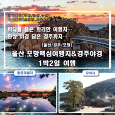 [포항,경주,울산] 11/23출발유력〔지자체특가〕울산.포항핵심여행지&경주야경 1박2일