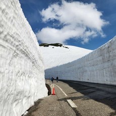 [도야마] 롯데제이티비/아시아나항공[도야마전세기+아라이리조트]▶알펜루트 설벽여행◀4일/5일