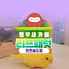 인천키즈카페