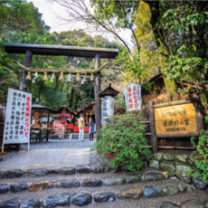 [오사카] #모두투어 [땡처리 특가]★출발확정★ 오사카/교토/아라시야마/나라 3일(리버크루즈/트윈룸) #진에어 #JHI621LJTV