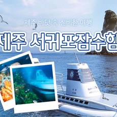 [제주] [제주] 서귀포잠수함