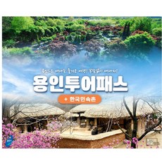 한국민속촌입장권