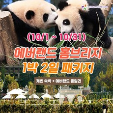 [용인] 10월 에버랜드 용인 홈브리지 캐빈호스텔 1박+종일권