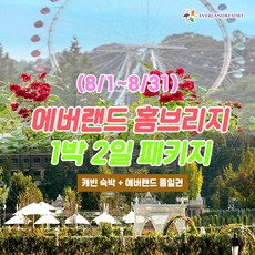 [용인] 8월 에버랜드 용인 홈브리지 캐빈호스텔 1박+종일권