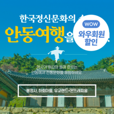 안동시카고