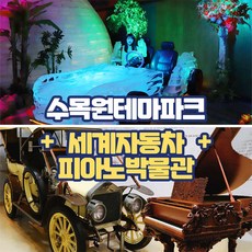 제주올패스 TOP01