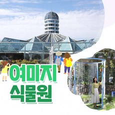 제주화가