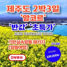 [제주도 2박3일] 제주도 2박3일 '앙코르' 실속알뜰 패키지_1. 기본실속알뜰 [반값특가] [항공포함]