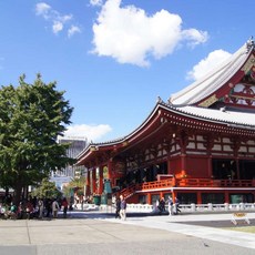 [도쿄] [하나투어]부산출발 제주항공 도쿄 4일 #JTB3497CK #자유여행