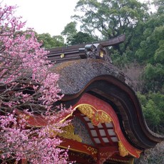 [후쿠오카] [하나투어]부산출발 에어부산 규슈/키타큐슈 3일 #JKP331BXU #하우스텐보스